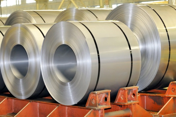 ورق سرد چیست