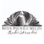 لوگوی نیک پروفیل نگین